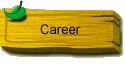 Career